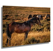Wild Mustang Photography - 'Sunset Guardian' - Western Horse Wall Art - Prairie Canvas Print