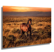 Amber Dusk Mustang - Western Horse Photography - Golden Prairie Sunset Wall Art