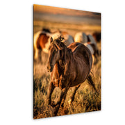 Sunset Gallop Wild Mustang Wall Art - Golden Hour Western Horse Photography - Rustic Decor