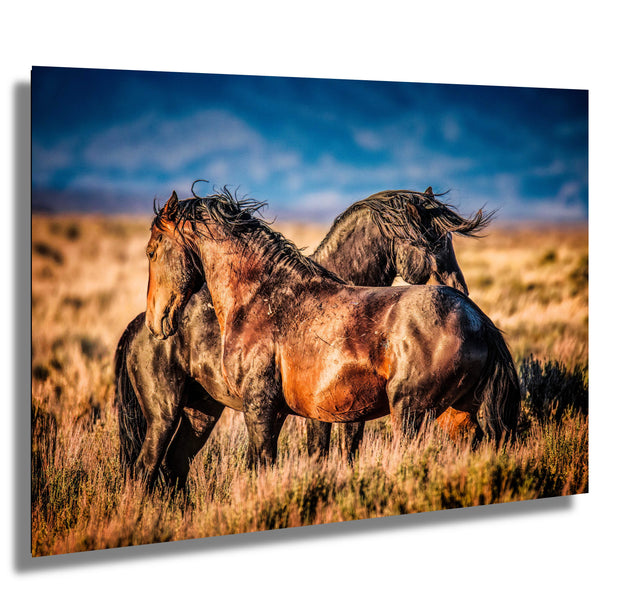 Wild Mustang Photography - 'Sunset Guardians' - Western Horse Wall Art - Rustic Home Decor