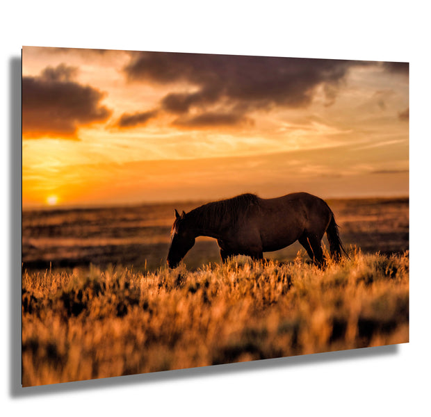 Sunset Silhouette Wild Horse Photography - Western Prairie Wall Art - Amber Horizon Decor