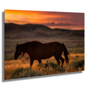 Dusk Wanderer - Wild Horse Sunset Wall Art - Western Prairie Photography - Rustic Home Decor
