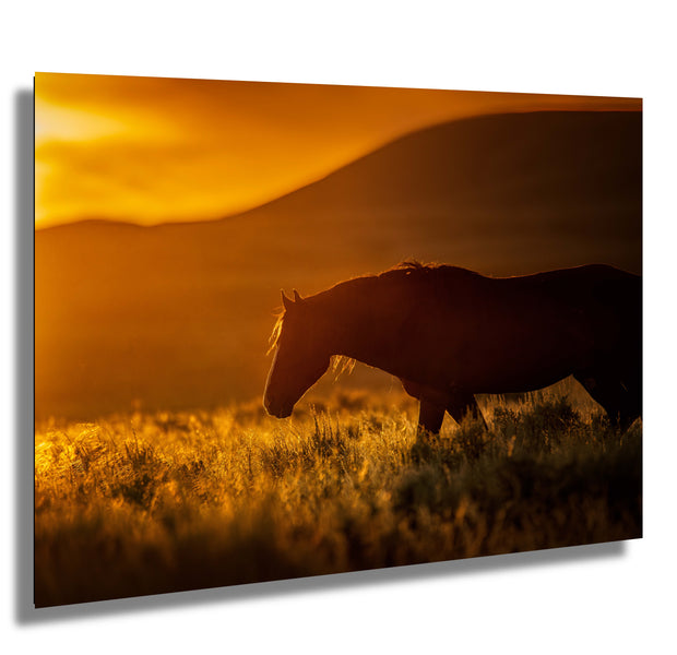Wild Horse Silhouette Wall Art - Amber Sunset - Western Landscape Photography - Rustic Home Decor