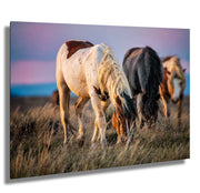 Wild Mustang Photography - 'Dusk Harmony' - Western Horse Wall Art - Canvas Print