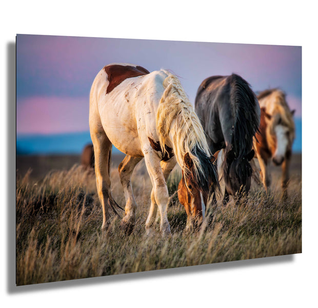 Wild Mustang Photography - 'Dusk Harmony' - Western Horse Wall Art - Canvas Print