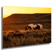 Wild Horse Photography - Amber Dusk Solitude - Pinto Mustang Canvas Art - Western Decor
