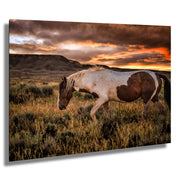 Wild Mustang Photography 'Fiery Horizon' - Paint Horse Wall Art - Western Sunset Decor