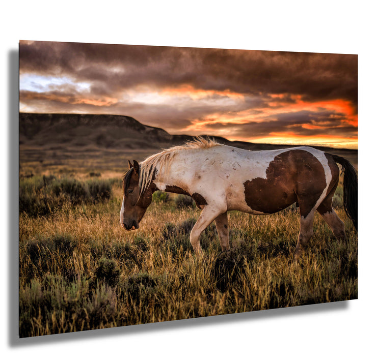 Wild Mustang Photography 'Fiery Horizon' - Paint Horse Wall Art - Western Sunset Decor
