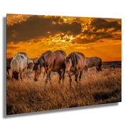 Wild Horse Photography - Amber Sunset Herd - Western Prairie Art - Mustang Wall Decor
