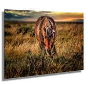 Wild Mustang Photography - 'Twilight Guardian' - Western Horse Wall Art - Sunset Prairie Decor