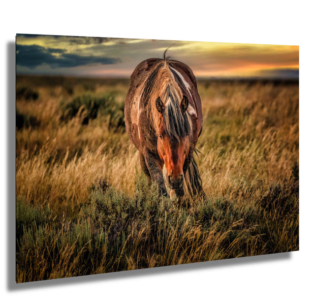 Wild Mustang Photography - 'Twilight Guardian' - Western Horse Wall Art - Sunset Prairie Decor