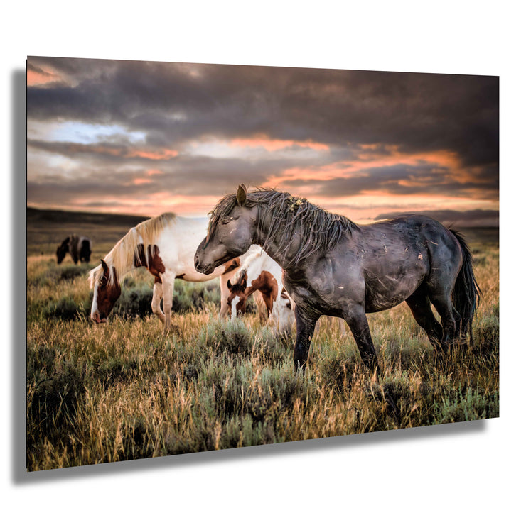 Wild Horse Photography - 'Twilight Sentinels' - Western Landscape Canvas Print - Mustang Art
