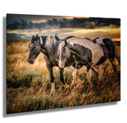Wild Horse Photography - 'Golden Hour Companions' - Western Sunset Wall Art - Mustang Canvas Print