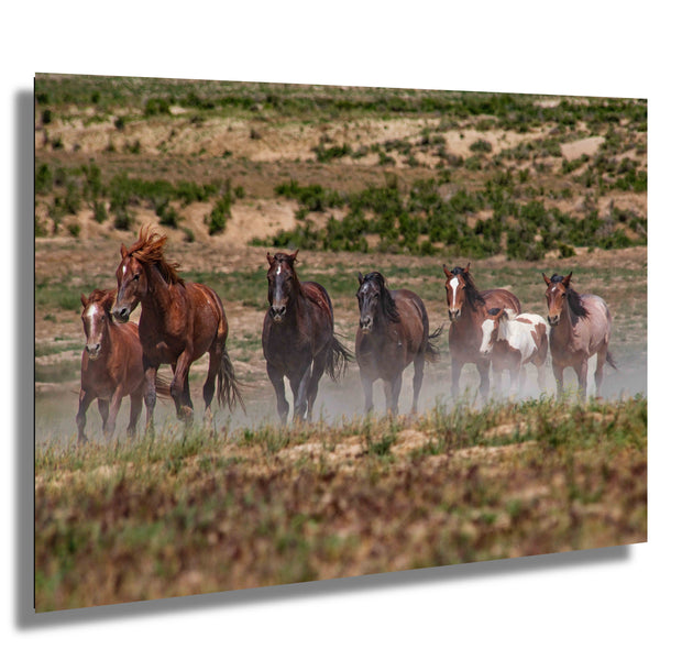 Wild Mustang Herd 'Unbridled Freedom' Canvas Print - Western Horse Photography Wall Art Decor