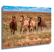 Wild Mustang Photography 'Prairie Quartet' - Canvas Print Horse Wall Art - Western Decor