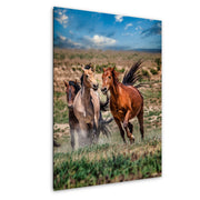 Wild Mustang Photography 'Spirit of the Plains' - Western Horse Wall Art - Rustic Home Decor
