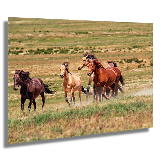 Wild Mustang Photography - 'Untamed Spirit' - Western Horse Wall Art - Canvas Print - Home Decor