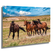 Wild Mustang Photography Wall Art "Freedom Run" - Western Horse Canvas Print - Rustic Home Decor