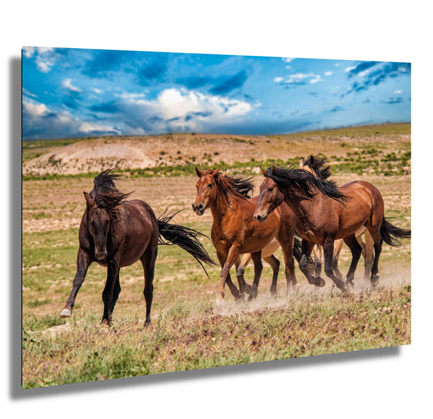 Wild Mustang Photography Wall Art "Freedom Run" - Western Horse Canvas Print - Rustic Home Decor
