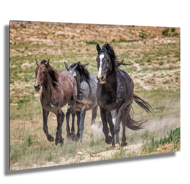 Wild Mustang Trio Photography - 'Boundless Spirit' - Horse Wall Art Canvas Print Western Decor