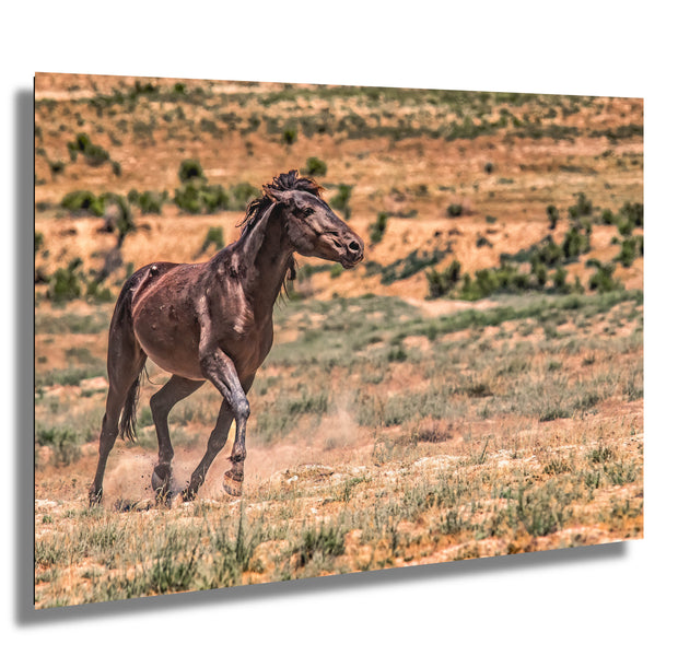Wild Mustang Wall Art 'Freedom Run' - Dark Horse Photography Print - Western Desert Landscape Decor