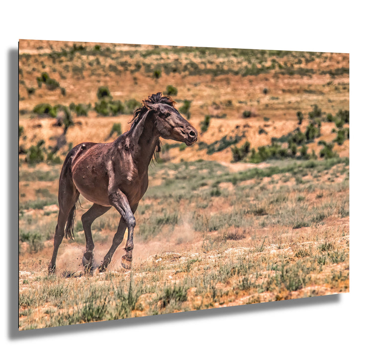 Wild Mustang Wall Art 'Freedom Run' - Dark Horse Photography Print - Western Desert Landscape Decor