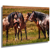 Wild Mustang Photography Art - 'Silent Council' - Horse Wall Art Canvas Print - Western Decor