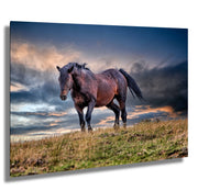 Tempest Spirit - Wild Mustang Photography - Stormy Prairie Sky - Western Horse Wall Art