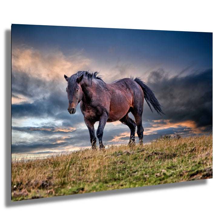 Tempest Spirit - Wild Mustang Photography - Stormy Prairie Sky - Western Horse Wall Art