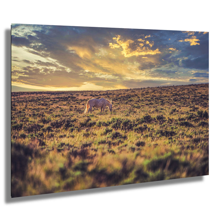 Twilight Solitude - Wild Horse Grazing on Golden Prairie - Western Sunset Photography