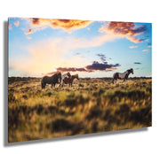 Wild Mustang Sunset Photography - Free Spirits at Golden Hour - Western Prairie Wall Art