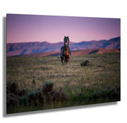 Wild Mustang Wall Art - Dusk Guardian - Western Horse Photography - Purple Sunset Decor