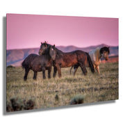 Wild Mustang Wall Art 'Rose Sky Sentinels' - Horse Photography Print - Western Landscape Decor