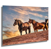 Wild Mustang Photography - Sunset Ridge Guardians - Western Horse Wall Art