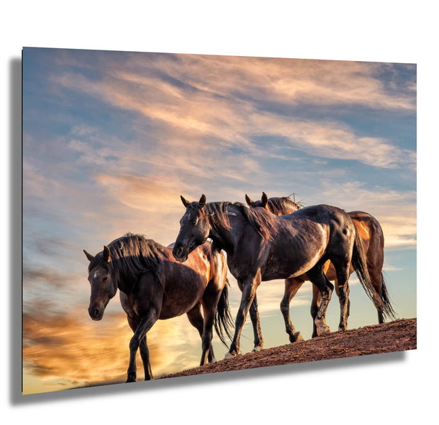 Wild Mustang Photography 'Golden Hour Herd' - Horse Wall Art - Western Sunset Decor