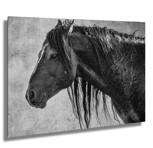 Rugged Majesty - Black and White Wild Horse Wall Art - Weathered Mustang Profile