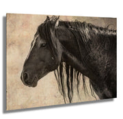 Midnight Silhouette - Vintage Black Horse Photography - Rustic Equine Wall Art Decor