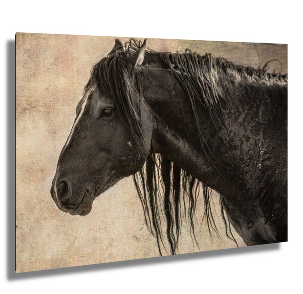 Midnight Silhouette - Vintage Black Horse Photography - Rustic Equine Wall Art Decor