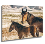 Wild Horse Photography - Maternal Vigilance Canvas Print - Wild Mustang Mare and Foal Wall Art