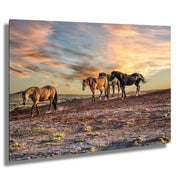 Wild Mustang Wall Art 'Sunset Procession' - Western Horse Photography - Desert Landscape Canvas