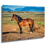 Wild Mustang Wall Art - 'Mountain Guardian' - Western Horse Photography - Rustic Home Decor