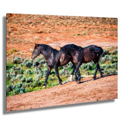 Wild Mustang Photography - 'Red Earth Journey' - Canvas Print - Western Horse Wall Art Decor