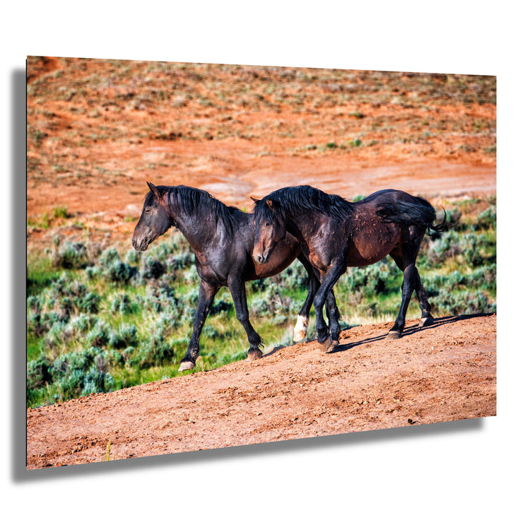 Wild Mustang Photography - 'Red Earth Journey' - Canvas Print - Western Horse Wall Art Decor