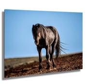 Midnight Majesty Wild Horse Wall Art - Dark Stallion Photography - Western Desert Freedom