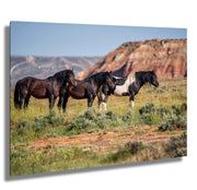 Wild Mustang Trio Wall Art - Red Mesa Guardians - Western Landscape Photography - Home Decor