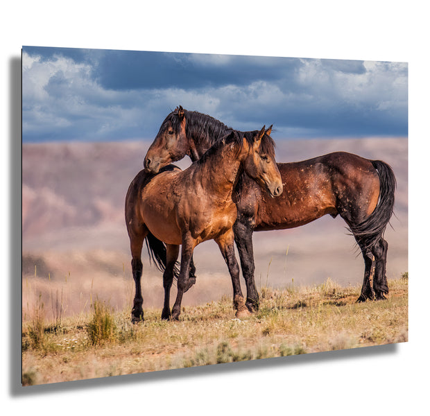 Tender Moment - Wild Mustang Companions Western Art - Dramatic Sky Horse Photography