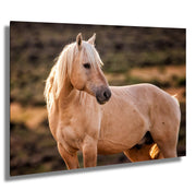 Golden Mane Palomino - Wild Horse Fine Art Photography - Western Wilderness Wall Art