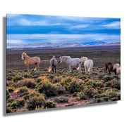 Wild Mustang Herd Photography - American West Desert Landscape - Dramatic Sky Wall Art