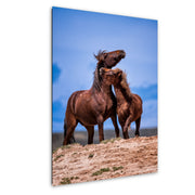 Wild Mustang Wall Art 'Eternal Bond' - Brown Horse Photography Print - Western Decor