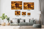 Wild Horse Photography 'Amber Dusk' - Western Landscape Art - Mustang in Golden Prairie